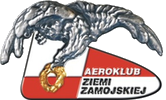 Custom Logo